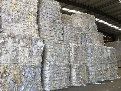 【聚焦】知名紙廠現場考察參觀,為什么他們都意猶未盡?