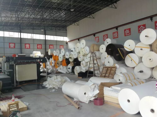 中國文房四寶協會領導考察夾江部分書畫紙廠