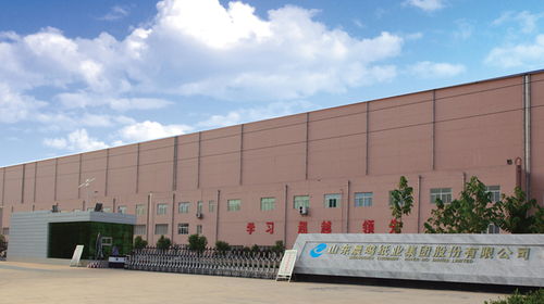 晨鳴紙業前三季預計盈利22億元 同比翻一番