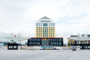 玖龍紙業的介紹