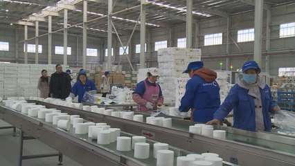 政府注資風險補償，助力企業融資57813萬元——紙業發展新動力