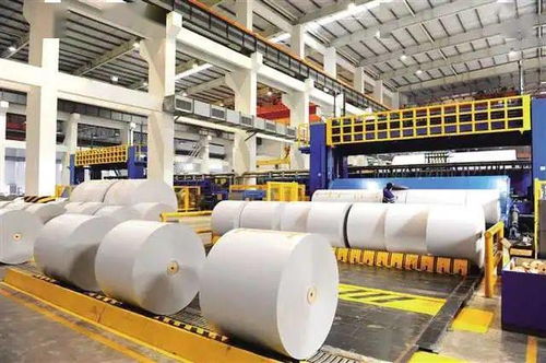 江津工業五年強基 紙業發展勢頭迅猛