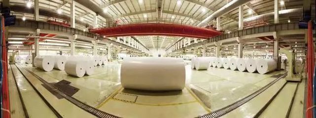 重磅|晨鳴紙業榮獲山東省省長質量獎提名獎 彰顯行業標桿