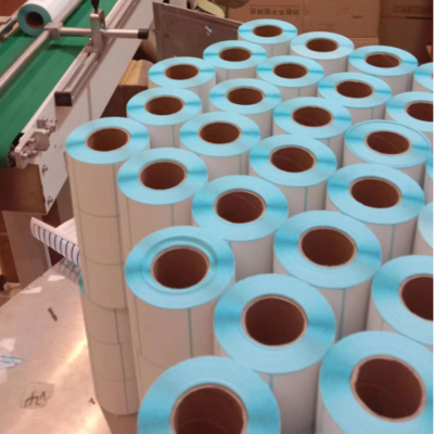 托源紙業 行業匠心與綠色發展的探索