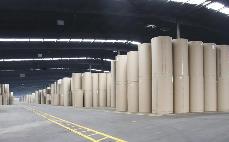 威海龍港紙業 以綠色智能驅動發展，以合規管理筑牢基石