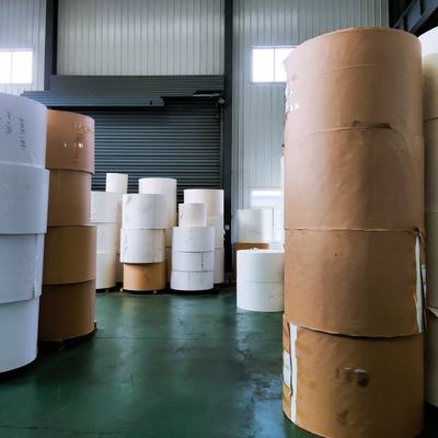 根深紙業 以綠色為基，構筑可持續發展的中國紙業典范